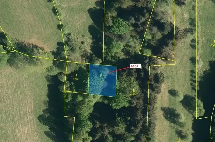 Dražba lesa, Zděchov, 435 m2