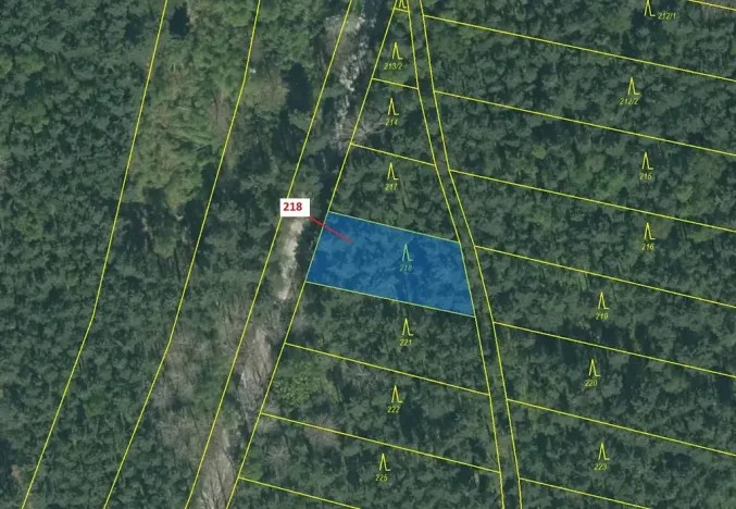 Dražba lesa, Vesce, 682 m2