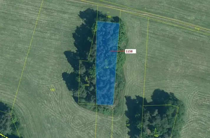 Dražba lesa, Hradiště, 1323 m2