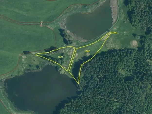 Dražba louky, Chodský Újezd, 13137 m2