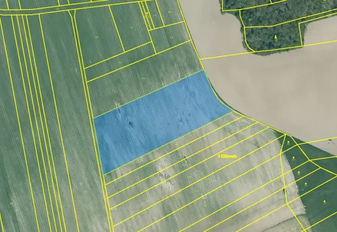 Prodej pole, Střížovice, 12708 m2