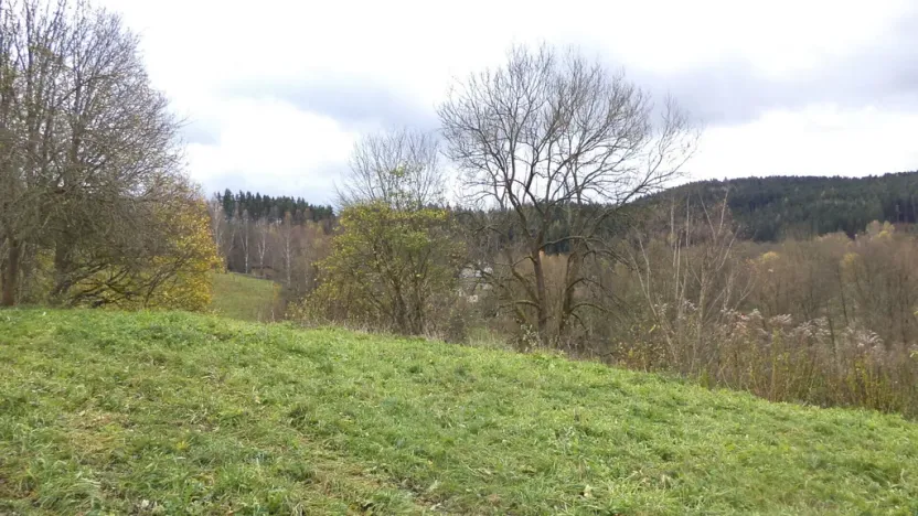 Prodej pozemku, Aš, 1691 m2