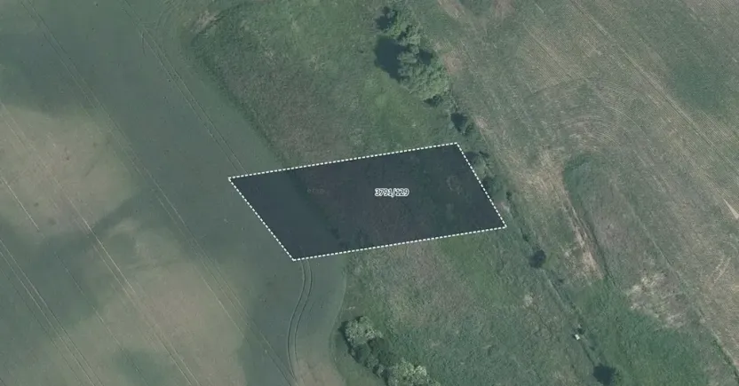 Prodej pole, Trstěnice, 4160 m2