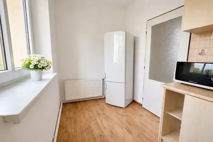 Pronájem bytu 1+1, Praha - Žižkov, U kněžské louky, 70 m2