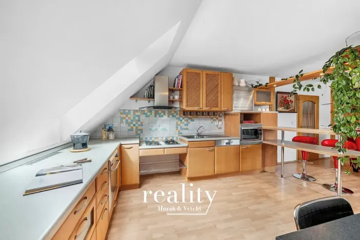 Prodej vícegeneračního domu, Znojmo, Bratrstva, 210 m2