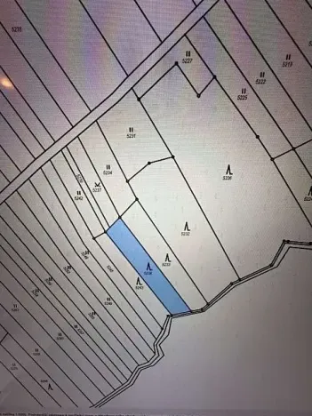 Prodej lesa, Březolupy, 628 m2