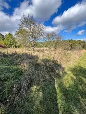 Prodej lesa, Březolupy, 245 m2