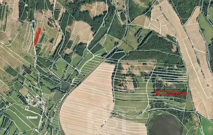 Prodej lesa, Jihlávka, 10463 m2