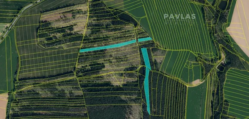 Prodej lesa, Křelovice, 102822 m2