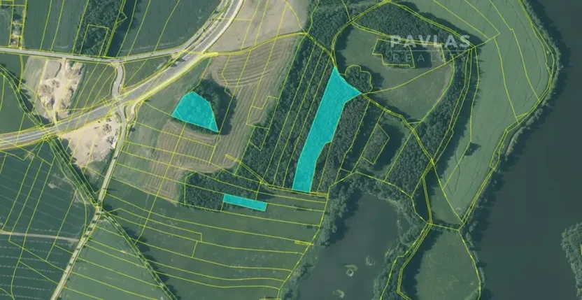 Prodej lesa, Stráž nad Nežárkou, 25076 m2