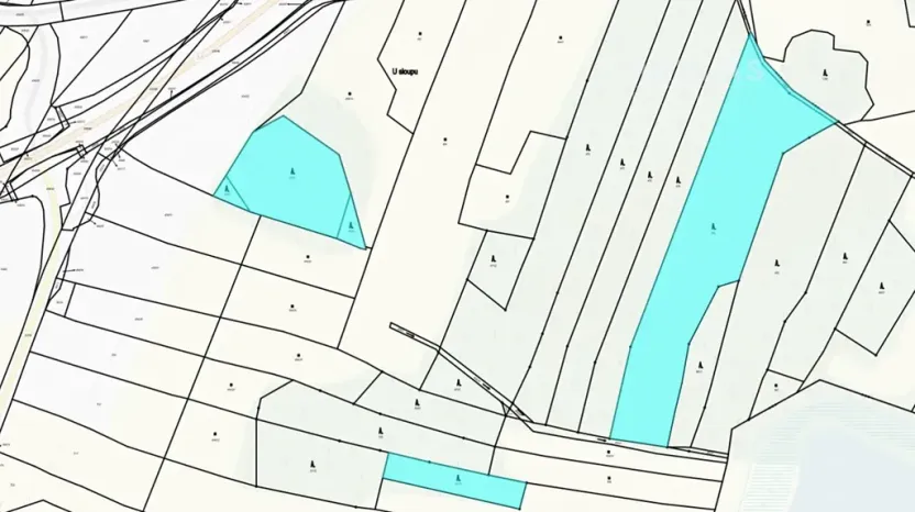 Prodej lesa, Stráž nad Nežárkou, 25076 m2