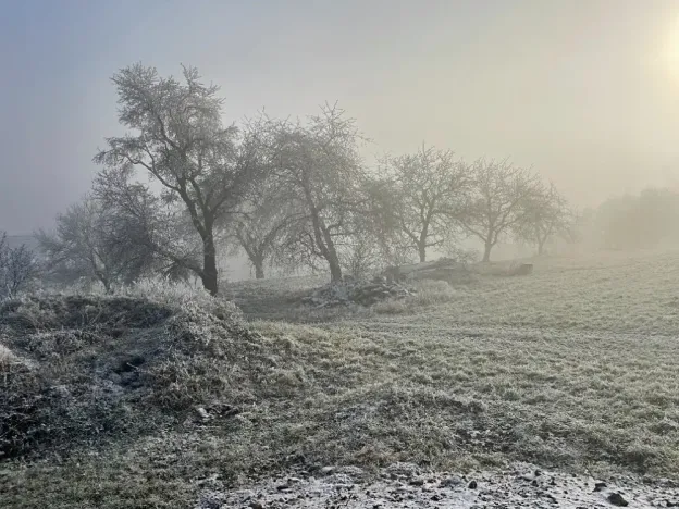 Dražba rodinného domu, Osiky, 241 m2