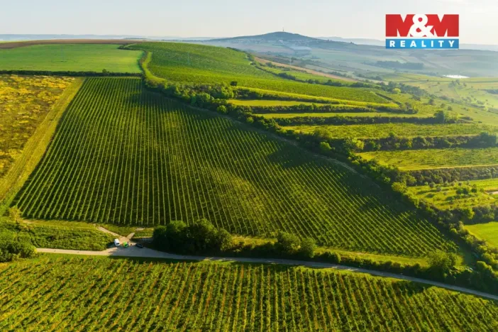 Prodej pole, Šardice, 56699 m2