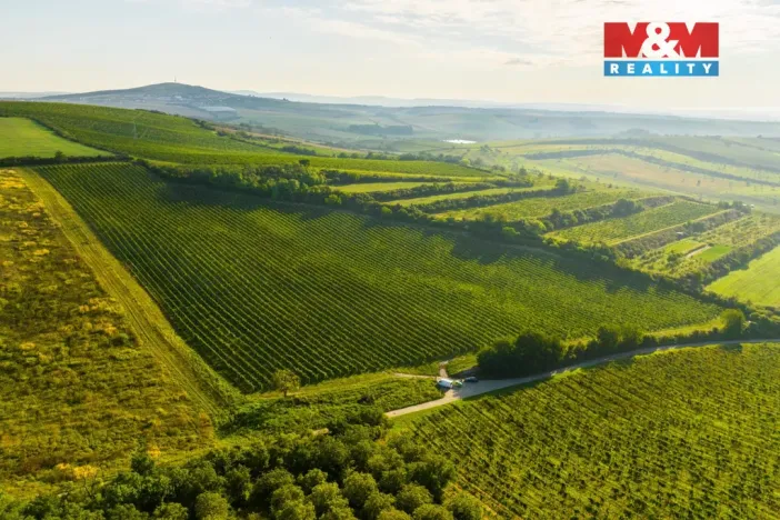 Prodej pole, Šardice, 56699 m2