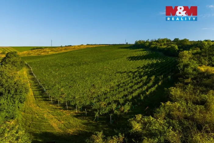 Prodej pole, Šardice, 56699 m2