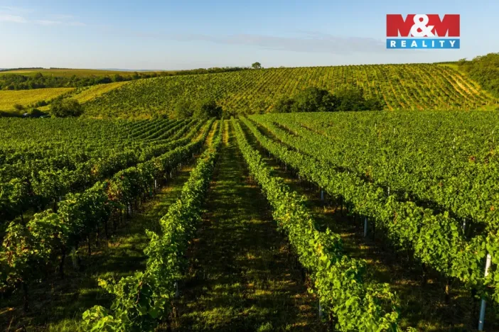 Prodej pole, Šardice, 56699 m2