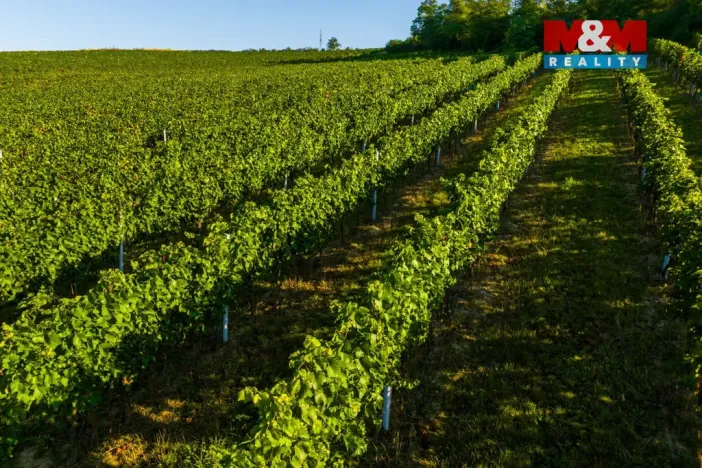 Prodej pole, Šardice, 56699 m2