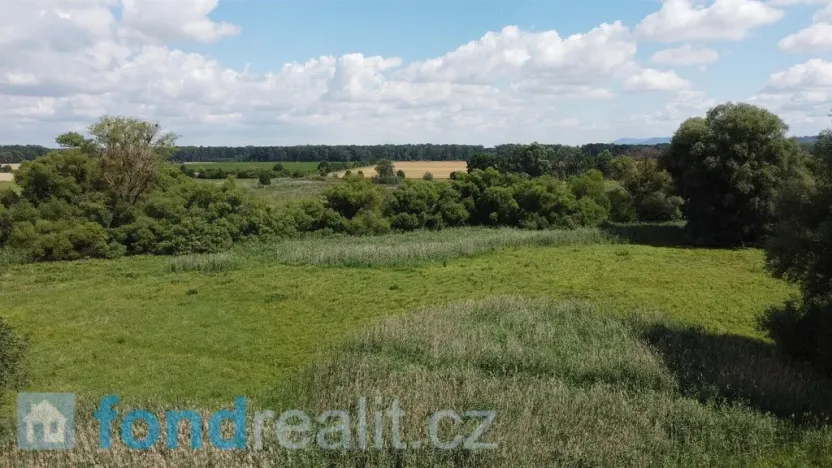 Prodej pozemku, Střížovice, 2388 m2