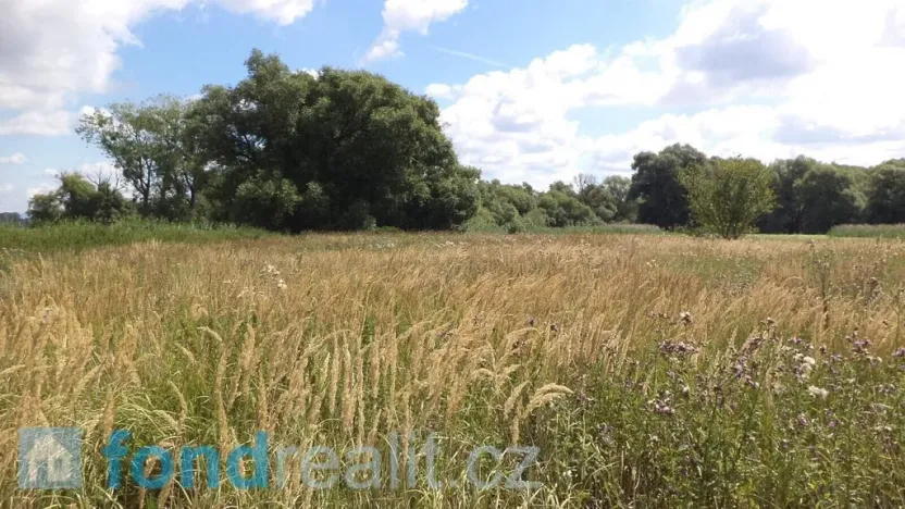 Prodej pozemku, Střížovice, 2388 m2