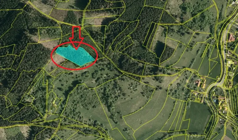 Prodej lesa, Huslenky, 11045 m2