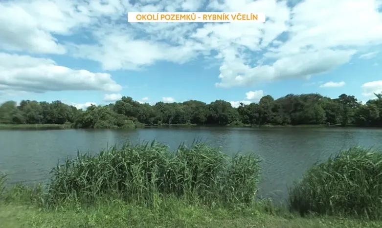 Prodej podílu pozemku pro bydlení, Břeclav, 656 m2