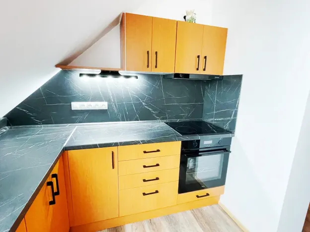 Prodej rodinného domu, Plzeň - Východní Předměstí, Stanko Vodičky, 218 m2