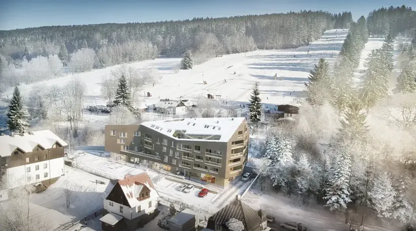 Prodej bytu 2+kk, Železná Ruda, 62 m2