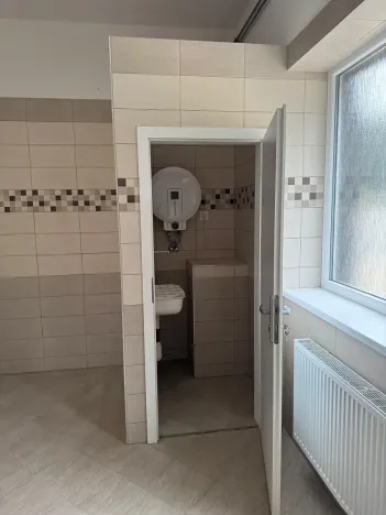 Pronájem skladu, Ostrov, 330 m2