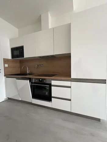 Pronájem bytu 1+kk, Lomnice, Dlouhá, 32 m2