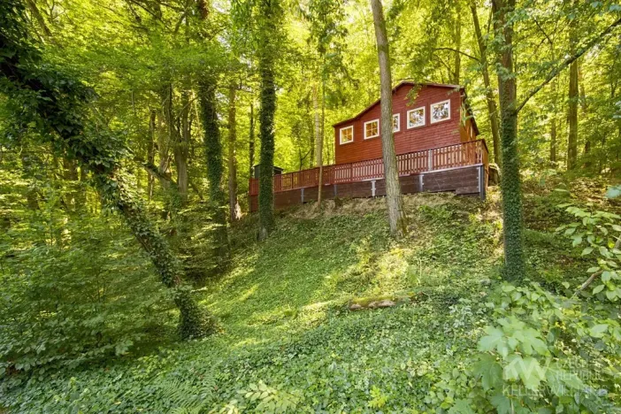 Prodej chaty, Plešnice, 29 m2