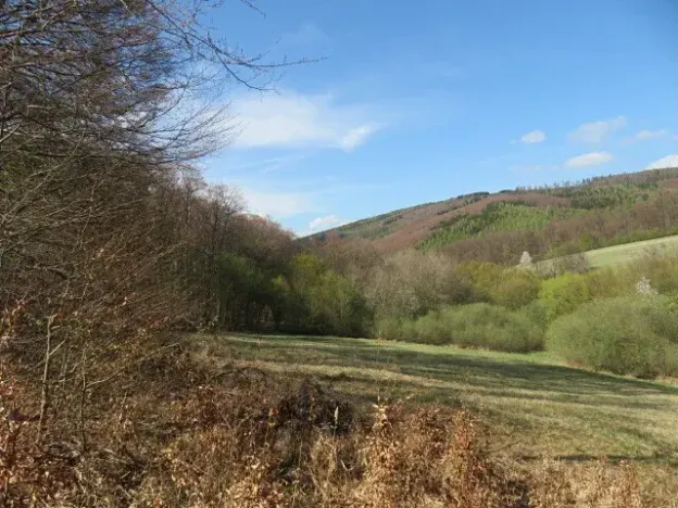 Dražba louky, Javorník, 16551 m2