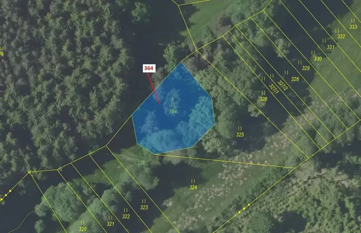 Dražba lesa, Vlašim, 838 m2