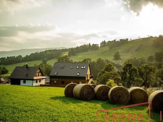 Prodej chalupy, Staré Město, 300 m2