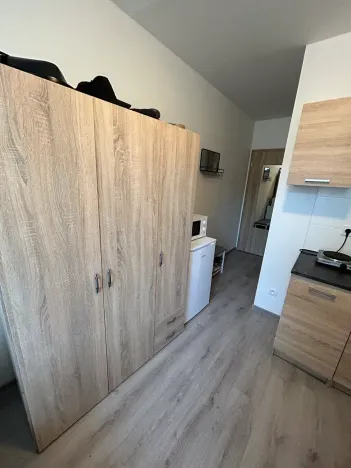 Pronájem bytu 1+kk, Kladno, Hřebečská, 18 m2