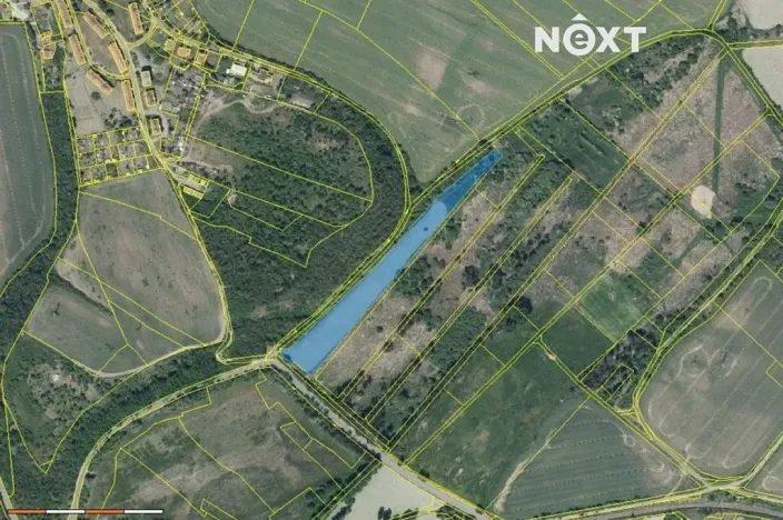 Prodej louky, Staňkovice, 13583 m2