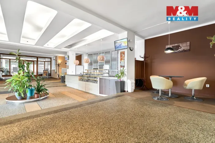 Pronájem obchodního prostoru, Ostrov, Lidická, 120 m2