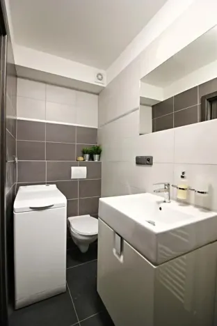 Pronájem bytu 1+kk, Brno, Jeneweinova, 36 m2