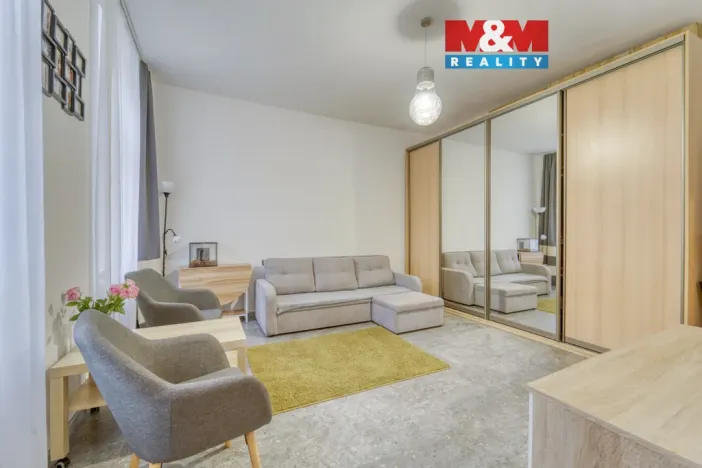 Prodej bytu 1+kk, Plzeň - Východní Předměstí, Plzenecká, 30 m2