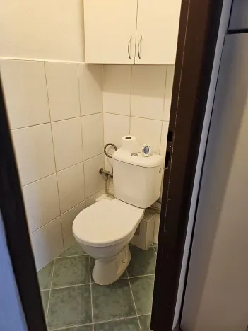 Pronájem bytu 1+1, Opava - Předměstí, třída Spojenců, 52 m2