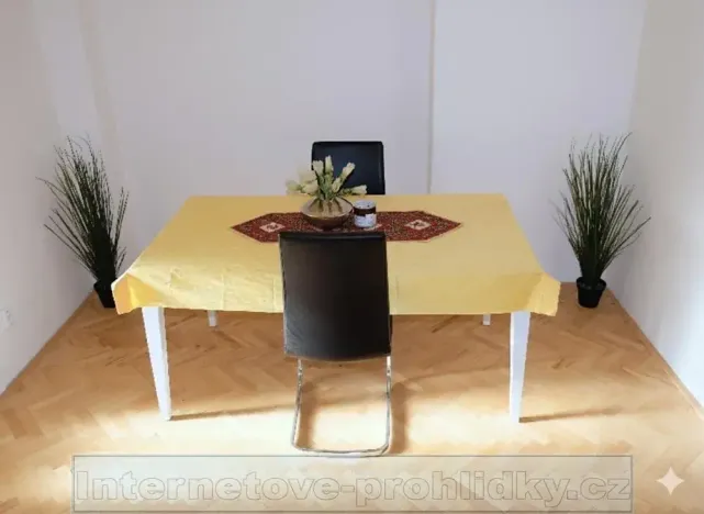 Pronájem pokoje, Praha - Břevnov, Hošťálkova, 17 m2