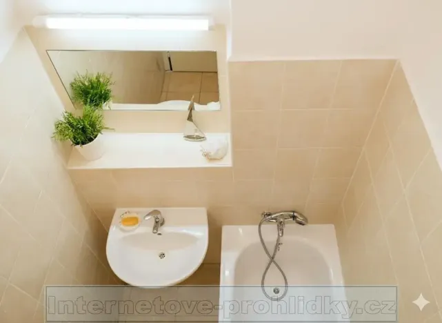 Pronájem pokoje, Praha - Břevnov, Hošťálkova, 17 m2