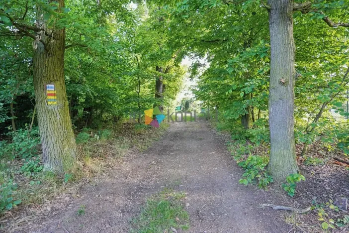 Prodej pozemku pro bydlení, Trnová, 871 m2