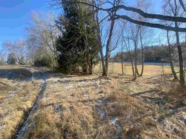 Prodej pozemku, Čachrov - Javorná, 2391 m2