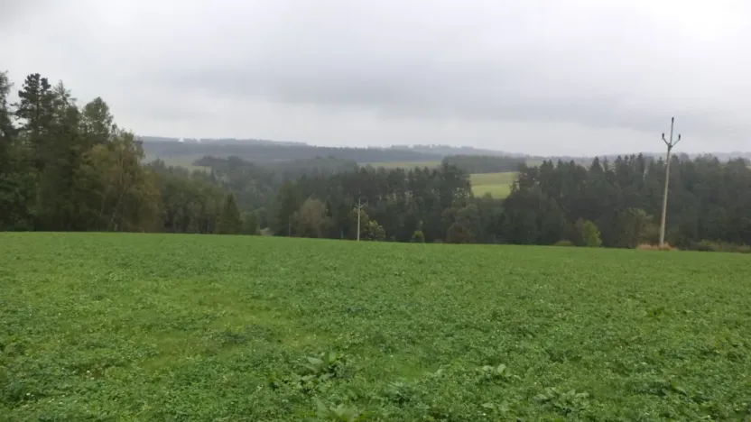 Prodej pozemku, Nové Hrady, 2679 m2