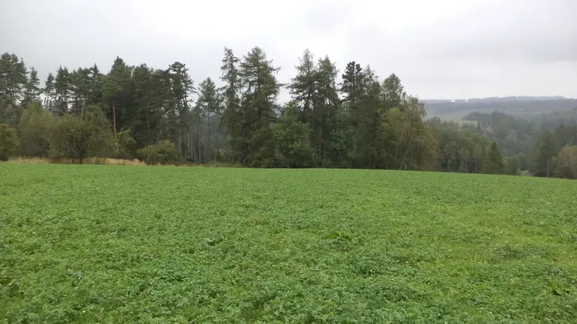 Prodej pozemku, Nové Hrady, 2679 m2