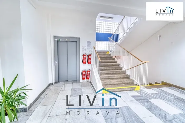 Pronájem obchodního prostoru, Olomouc, Karolíny Světlé, 128 m2