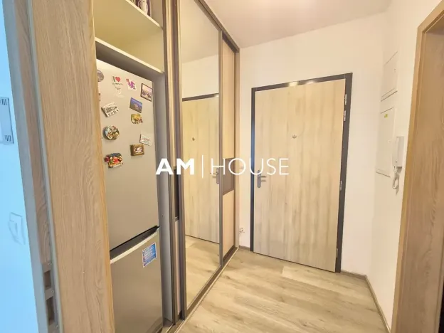 Pronájem bytu 1+kk, Praha - Malešice, Nad úžlabinou, 38 m2