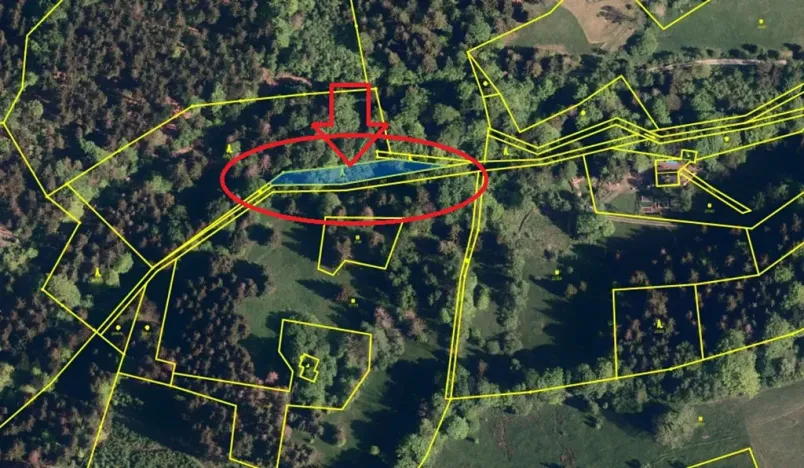 Prodej lesa, Krásná, 824 m2