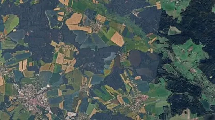 Prodej podílu lesa, Olešnice, 303 m2