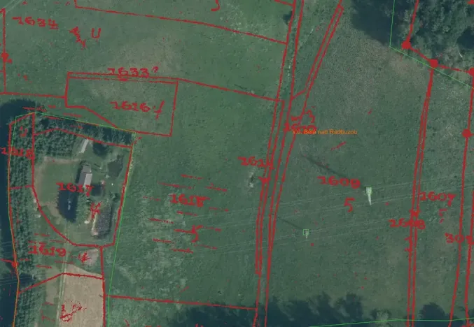 Prodej pole, Bělá nad Radbuzou, 174301 m2